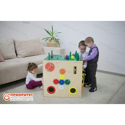 Большой бизикуб Дружная семья вид сзади