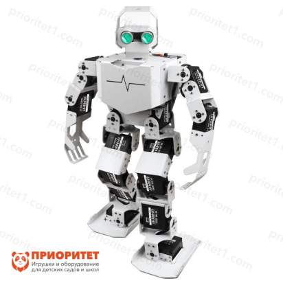 Андроидный робот Гуманоид