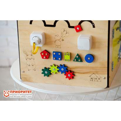 Бизидом «Будущий профессионал» с кнопками