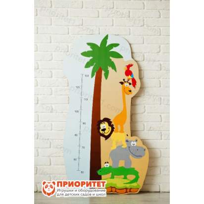 Ростомер Африка общий вид