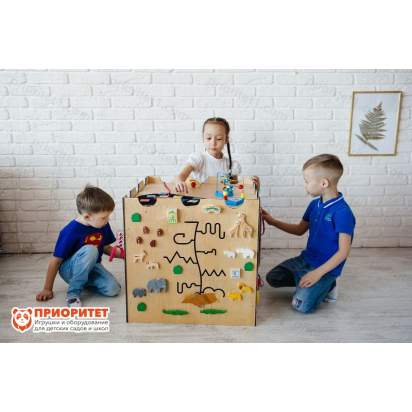 Бизикуб Волшебная крепость общий вид