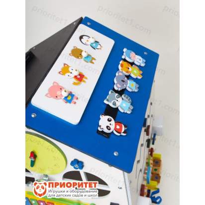 Бизидом Будущий ученый с синей крышей