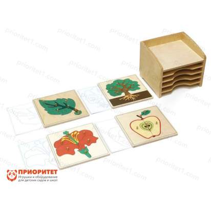 Развивающий набор Монтессори 80 в 1 5