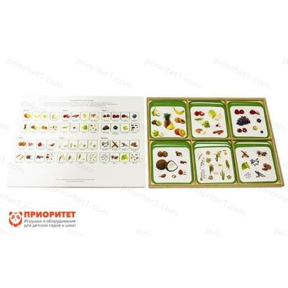 Комплект карточек Монтессори «Съедобные растения»