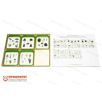 Комплект карточек Монтессори «Растения по природным зонам»