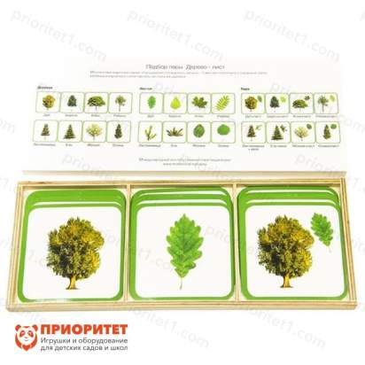 Комплект карточек Монтессори «Подбор пары. Дерево-лист»