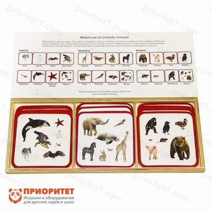 Комплект карточек Монтессори «Животные по способу питания»