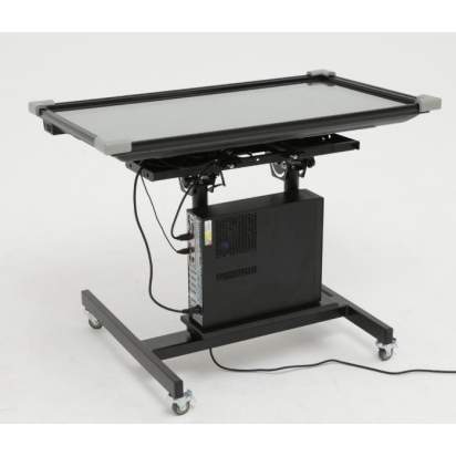 Интерактивный стол логопеда «Виэль» общий вид